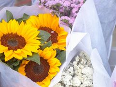 -循礼门鲜花花市(武汉循礼门店)