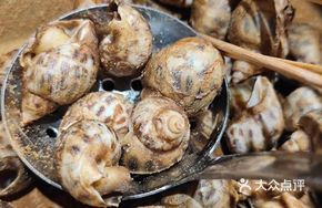 Peppered Snail