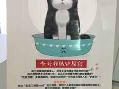 -银座mall(东直门店)