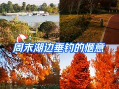 -九科绿洲