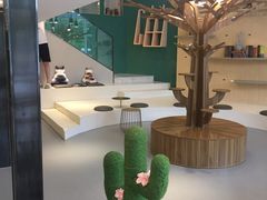 -飞行喵MR PILOT|猫舍·猫咖(静安大融城店)