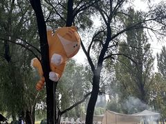 -林栖谷森林康养度假区