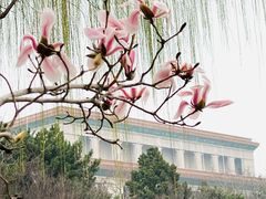 -国家大剧院