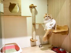 -Double Rui宠物酒店