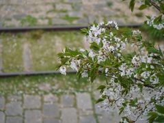 -龙美术馆(西岸馆)