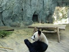 -深圳野生动物园