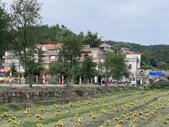 -红山村