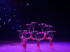 -水秀国际大剧院