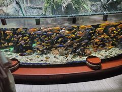 -太平洋海底世界