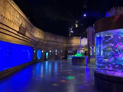 -华夏文旅海洋公园