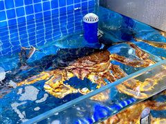 -前王院•巧克力海鲜市集餐厅(万平口店)