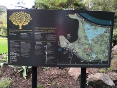 -墨尔本皇家植物园