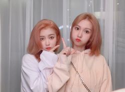 -L+奥拉接发烫发染发