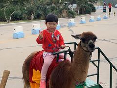 -西霞口神雕山野生动物世界