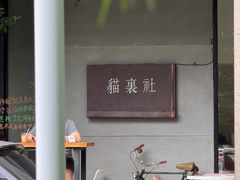 -猫里有甜