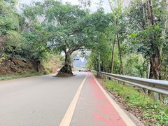 -明仕田园