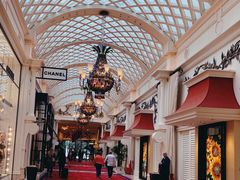 -拉斯维加斯永利酒店