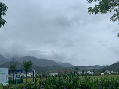 -广州市流溪河国家森林公园