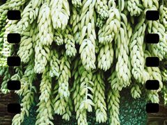 -青韵台陶艺Diy(永庆坊店)