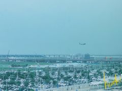 -深圳机场凯悦嘉轩酒店