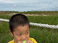 -盐城丹顶鹤湿地生态旅游区