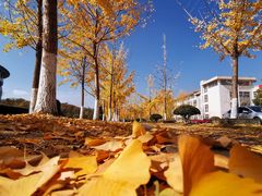 -浙江农林大学(东湖校区)