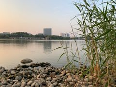 -大兴滨河森林公园