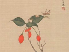 -【朵云轩艺术中心】博洛尼亚插画展·中国巡展·上海站