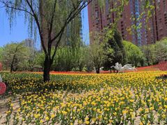 -迎泽公园