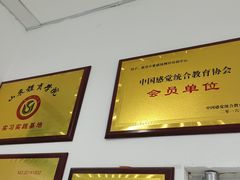 -能量小象·感统·专注力·语言(黄岛校区)