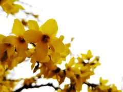 -杭州植物园