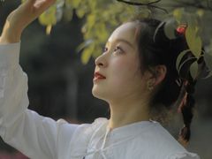 -南山植物园