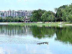 -陶然亭公园