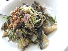 捞起爽鱼皮-黄埔华苑酒家(黄埔总店)