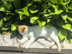 -六鼎山文化旅游区