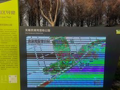 -贡湖湾湿地公园