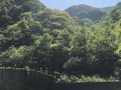 -白云源风景区