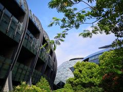 -上海滴水湖皇冠假日酒店