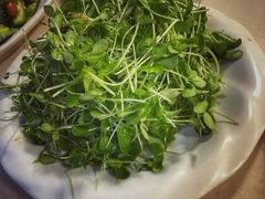 豆苗-福寿斋·老北京铜锅涮肉·烤鸭(顺义总店)