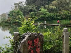 -靖西鹅泉风景区