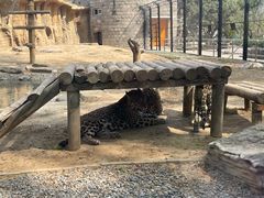 -北京野生动物园