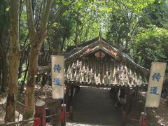 -窦圌山风景区