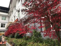 -光雾山十八月潭风景区-售票处