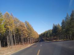 -塞罕坝国家级自然保护区