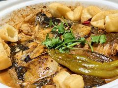 -朝馆·市井本味菜