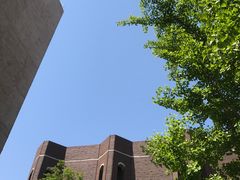 -中国艺术研究院油画院