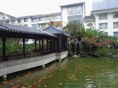 -苏苑饭店-中餐厅(长桥地区店)