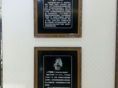 -标准眼镜·蔡司官方授权店(和平路总店)