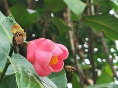 -广州神农草堂中医药博物馆