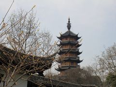 -红梅公园